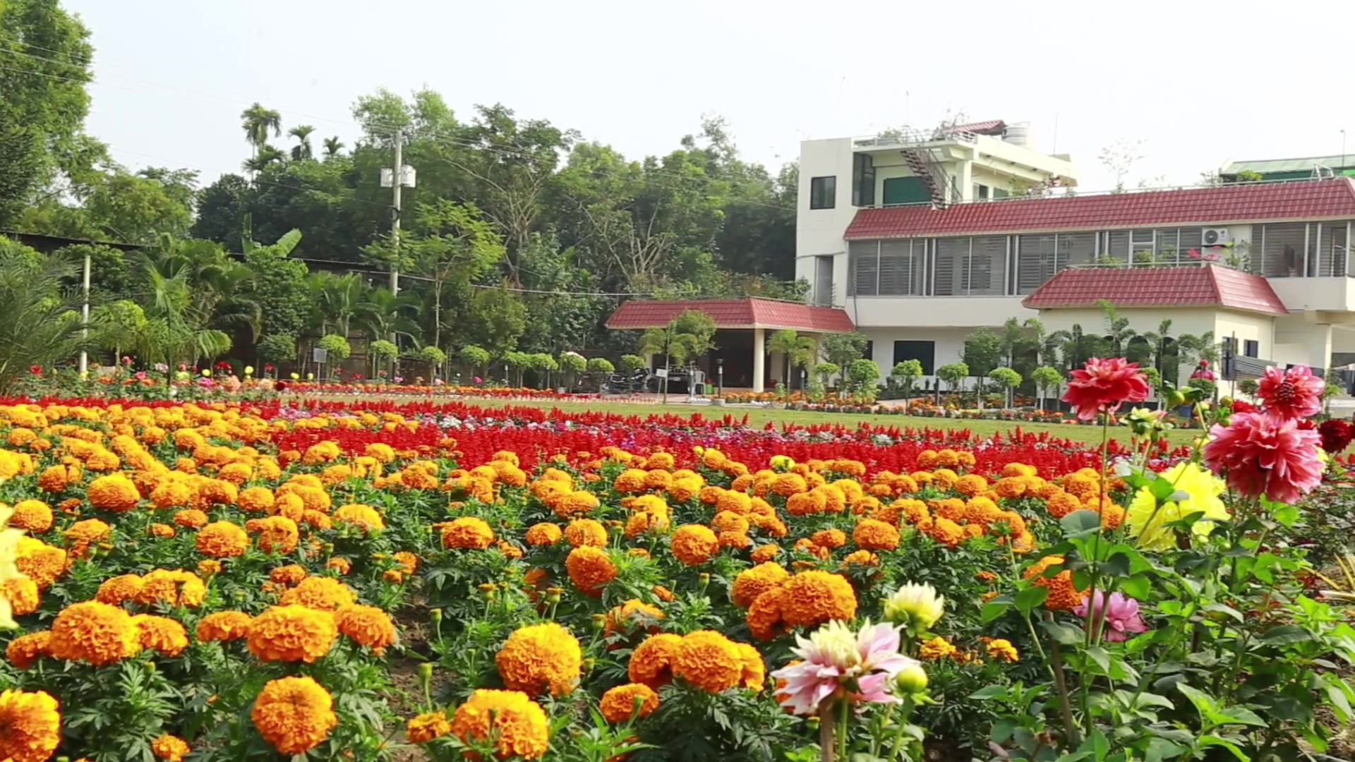 মাদ্রাসা প্রাঙ্গন
