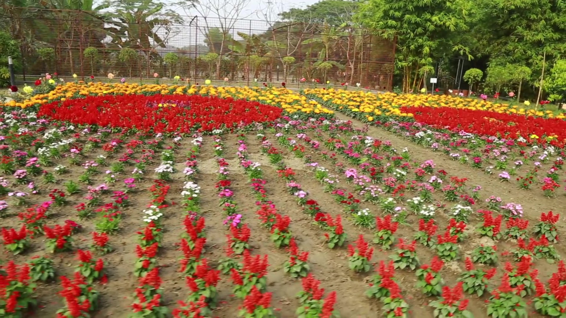 মাদ্রাসা প্রাঙ্গন