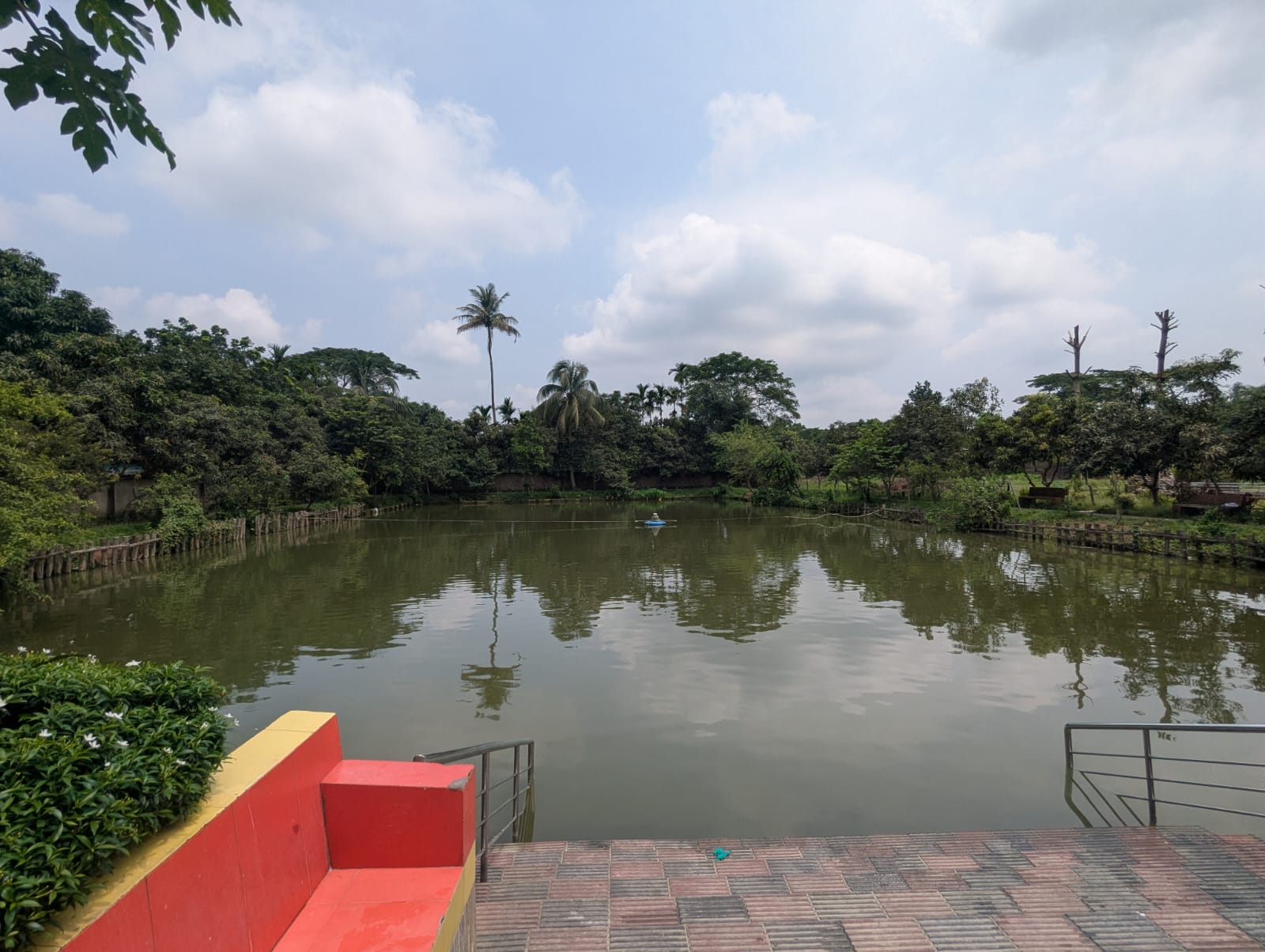 মাদ্রাসার পুকুর