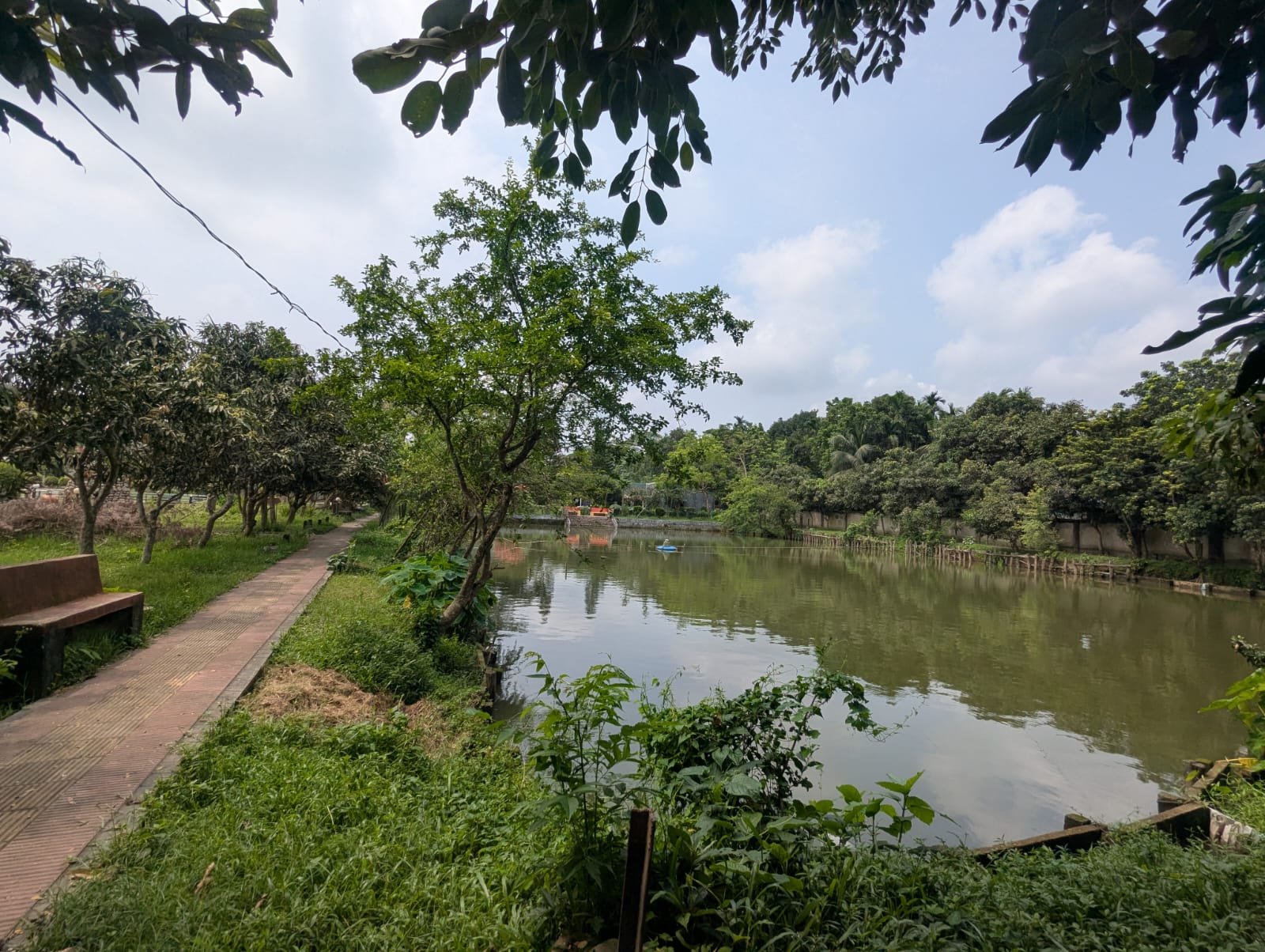 মাদ্রাসার পুকুর