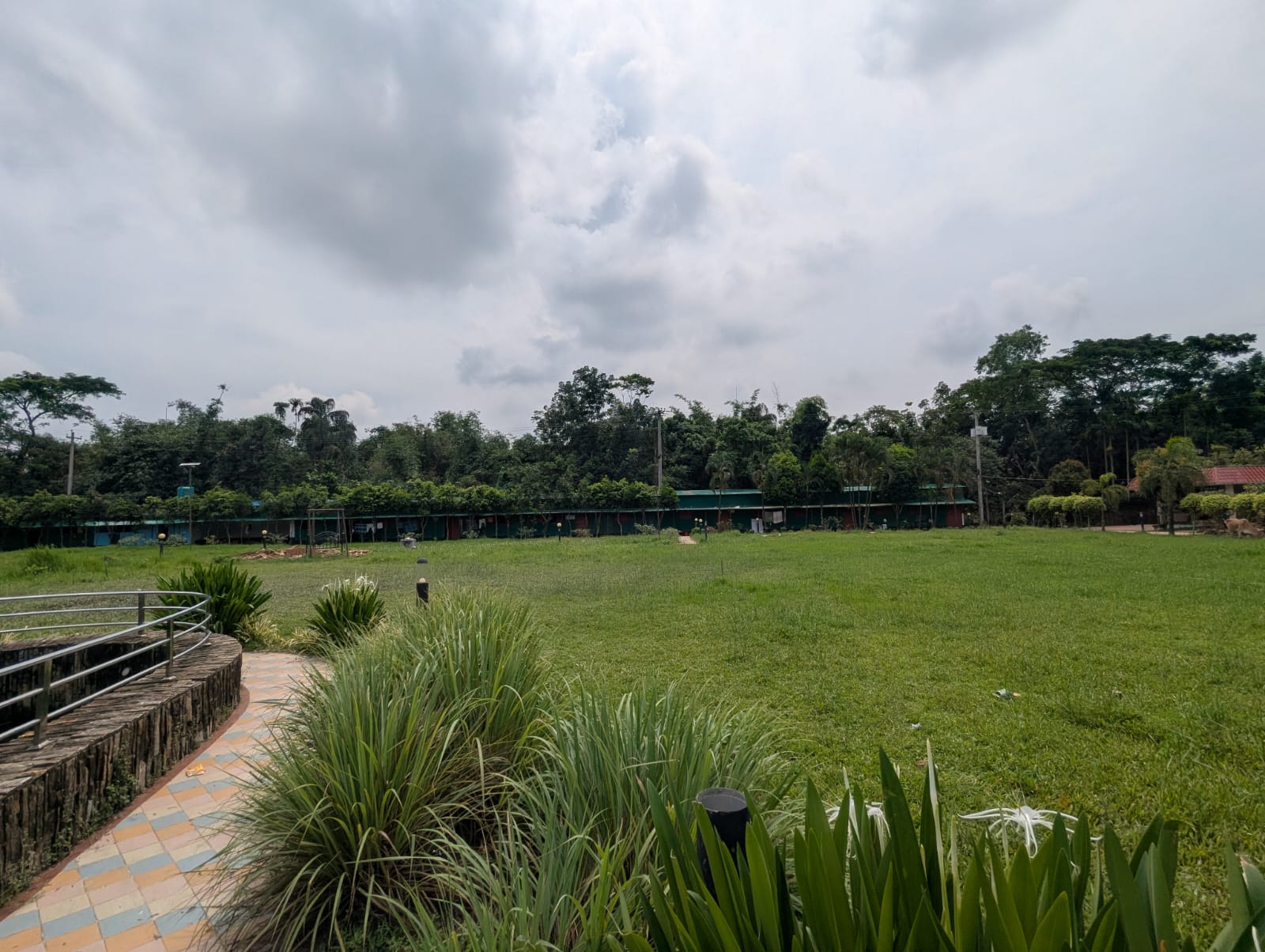 মাদ্রাসার মাঠ