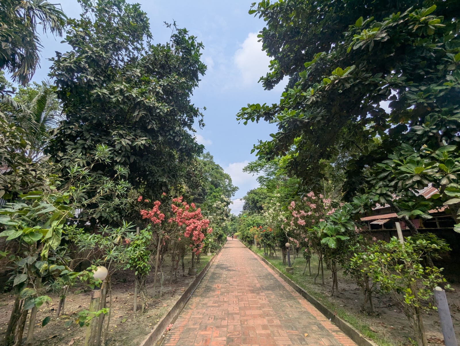 মাদ্রাসার রাস্তা